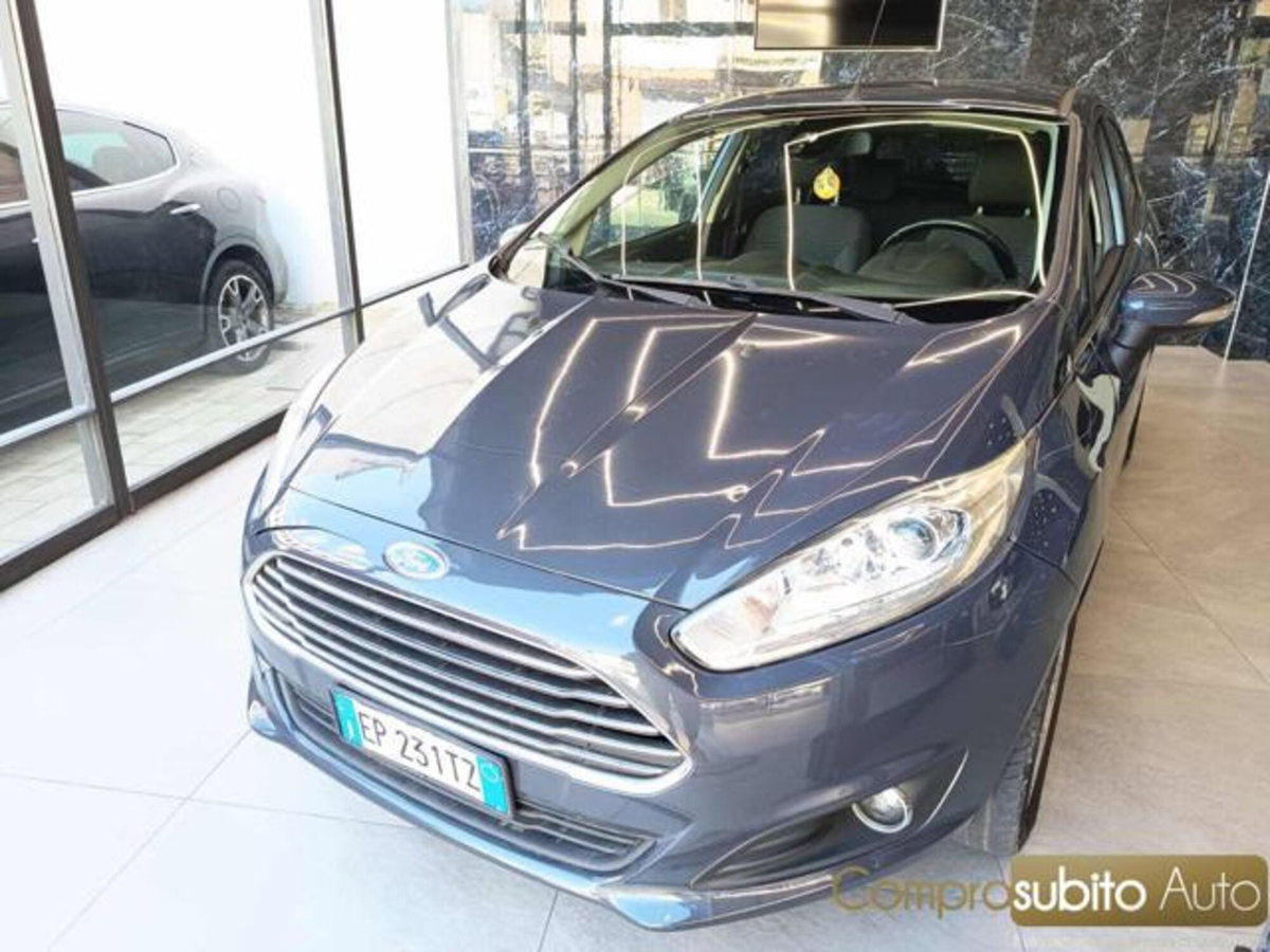 Ford Fiesta 1.5 TDCi 75CV 5 porte Titanium (3)