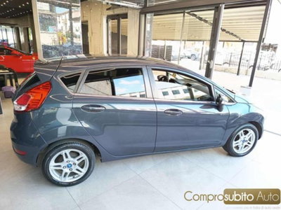Ford Fiesta 1.5 TDCi 75CV 5 porte Titanium (4)