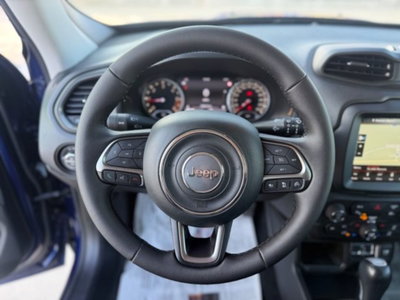Jeep Renegade 1.6 Mjt 120 CV Longitude (20)