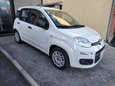 Fiat Panda 1.2 Pop usata