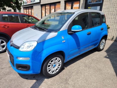 Fiat Panda 1.2 Pandazzurri usata