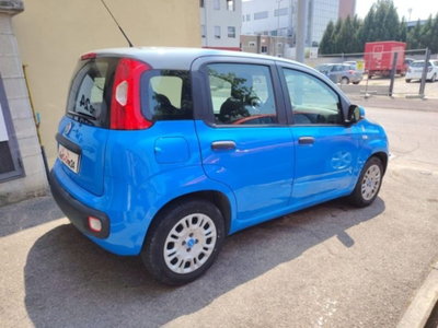 Fiat Panda 1.2 Pandazzurri (4)