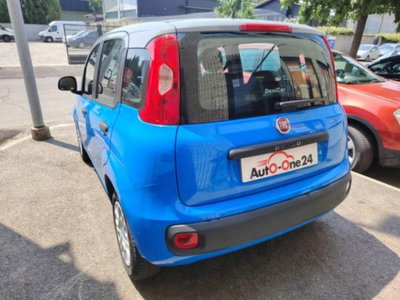 Fiat Panda 1.2 Pandazzurri (7)
