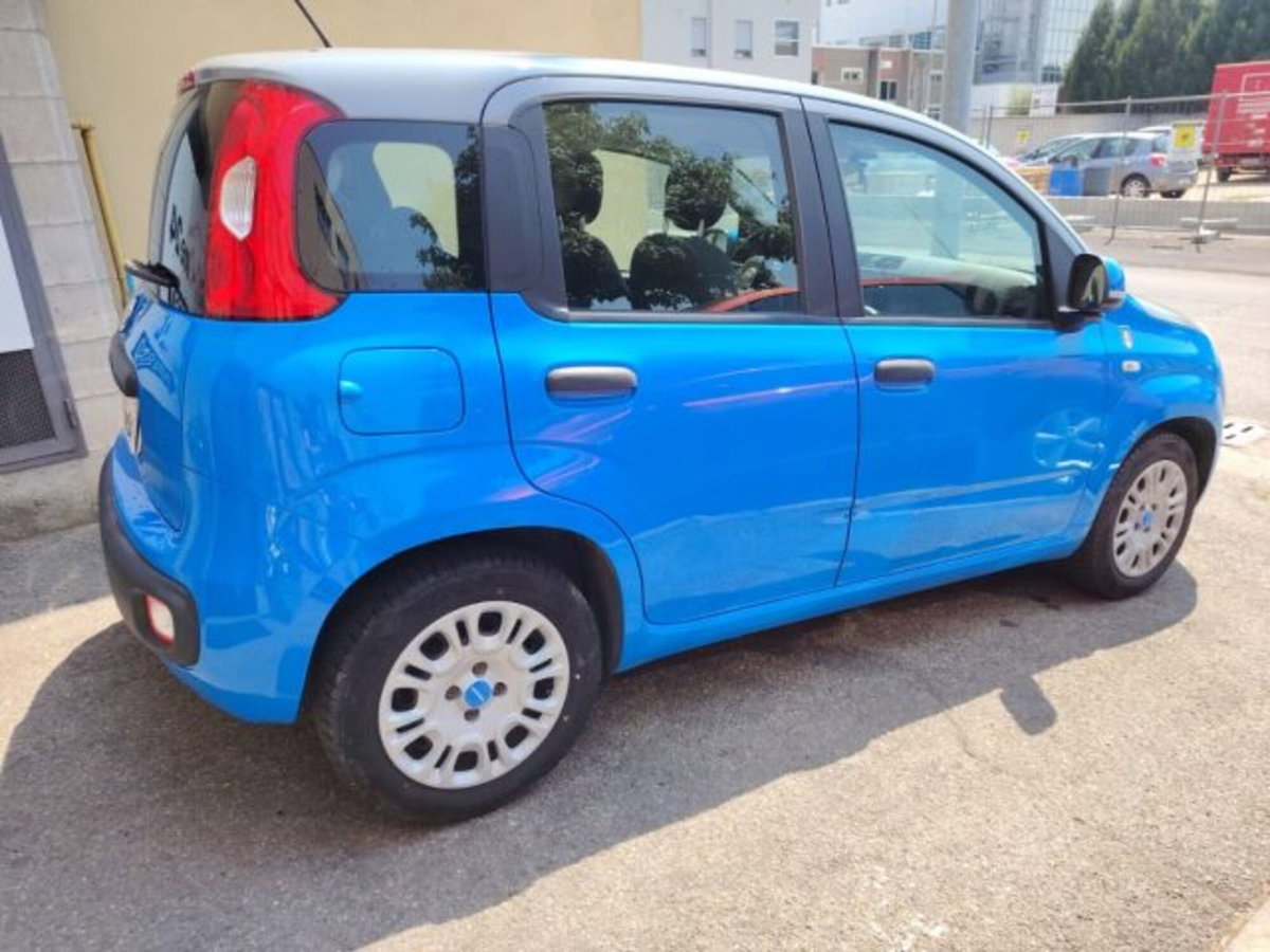 Fiat Panda 1.2 Pandazzurri (8)