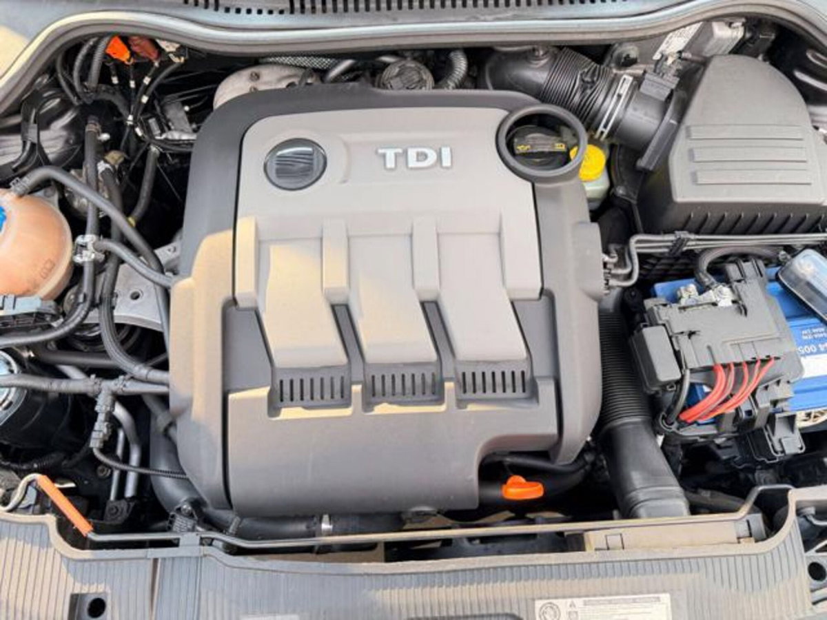 SEAT Ibiza 1.2 TDI CR 5 porte Style (19)