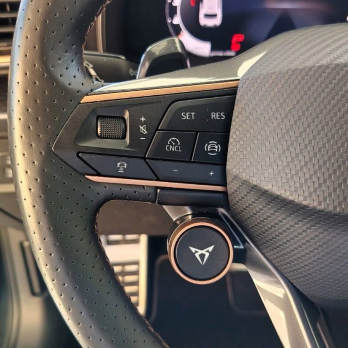 Cupra Leon Leon 2.0 tdi 150cv dsg (15)