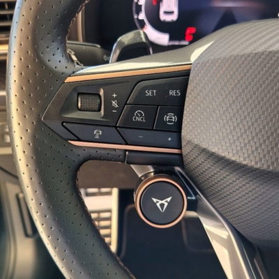 Cupra Leon Leon 2.0 tdi 150cv dsg (15)