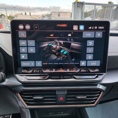 Cupra Formentor Formentor 2.0 TDI (11)