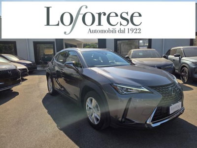 Lexus UX Full Electric Premium usata