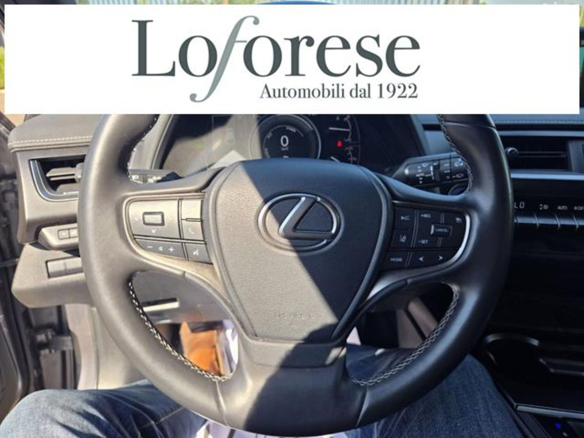 Lexus UX Full Electric Premium (10)