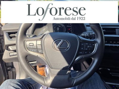 Lexus UX Full Electric Premium (10)