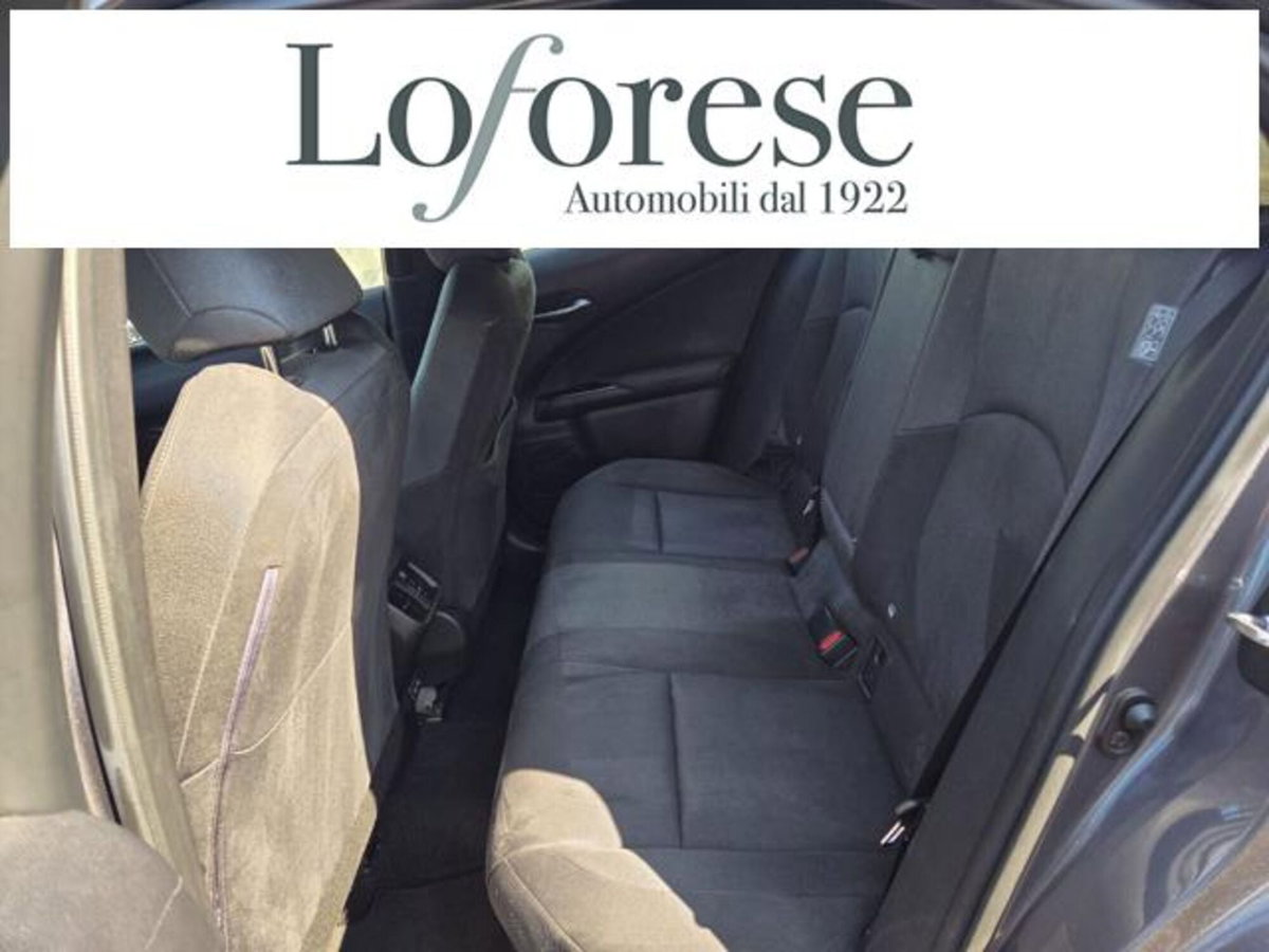 Lexus UX Full Electric Premium (12)