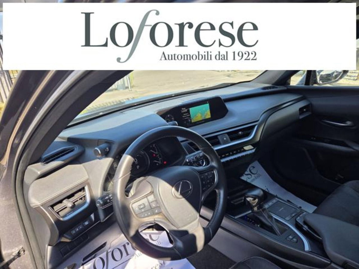 Lexus UX Full Electric Premium (2)
