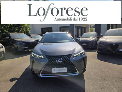 Lexus UX Full Electric Premium (4)