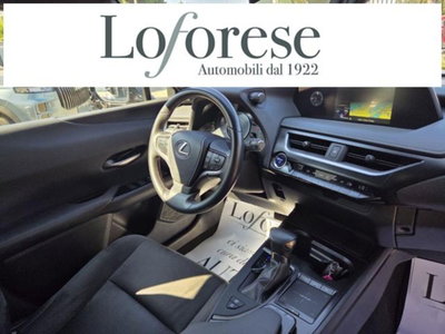 Lexus UX Full Electric Premium (8)