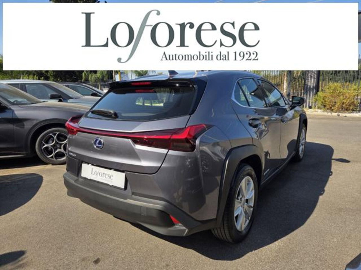 Lexus UX Full Electric Premium (9)