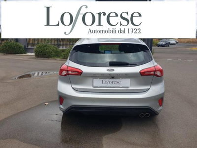 Ford Focus 1.5 EcoBlue 120 CV automatico 5p. ST-Line X (5)