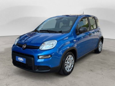 Fiat Panda 1.0 firefly hybrid s&s 70cv 5p.ti usata