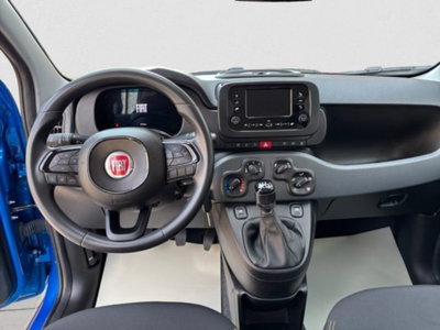 Fiat Panda 1.0 firefly hybrid s&s 70cv 5p.ti (11)
