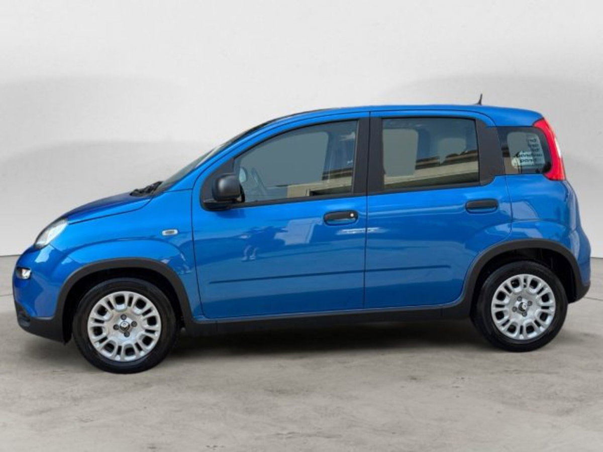 Fiat Panda 1.0 firefly hybrid s&s 70cv 5p.ti (2)