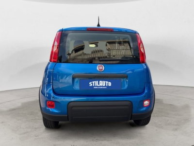 Fiat Panda 1.0 firefly hybrid s&s 70cv 5p.ti (4)