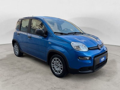 Fiat Panda 1.0 firefly hybrid s&s 70cv 5p.ti (6)