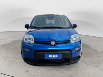 Fiat Panda 1.0 firefly hybrid s&s 70cv 5p.ti (7)