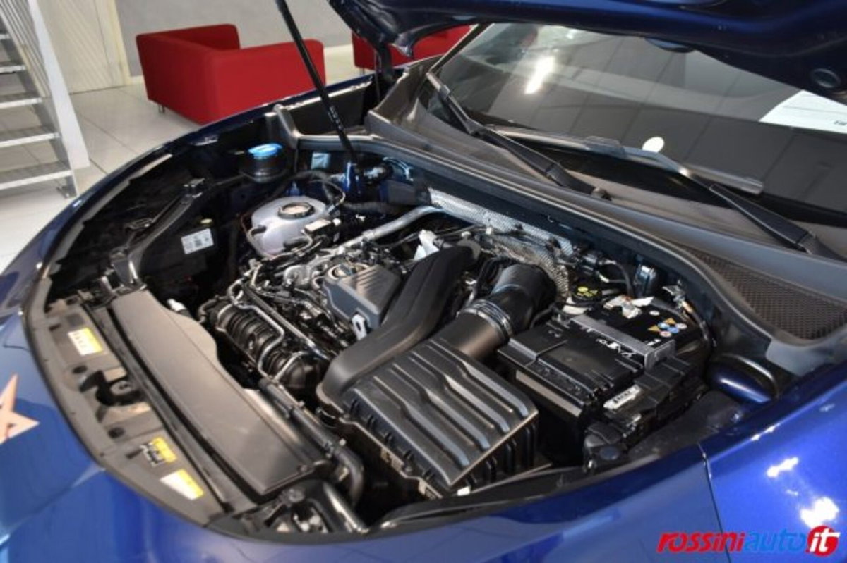 Cupra Terramar 1.5 hybrid 150cv dsg (15)