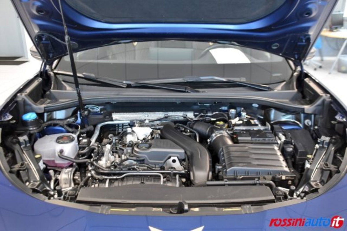 Cupra Terramar 1.5 hybrid 150cv dsg (18)