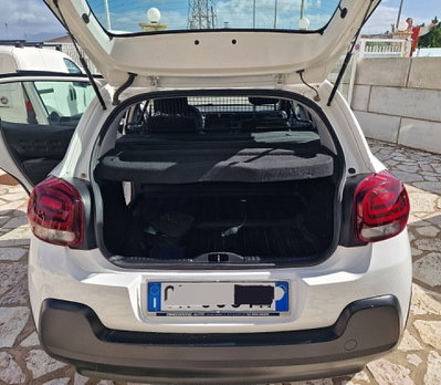 Citroen C3 BlueHDi 100 S&S C-Series (8)