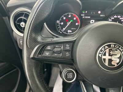 Alfa Romeo Stelvio Stelvio 2.2 Turbodiesel 190 CV AT8 Q4 Super Business (19)