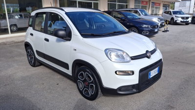 Fiat Panda 1.2 EasyPower City Life usata