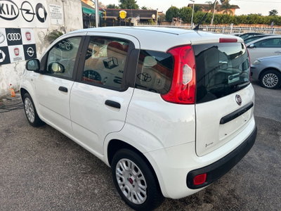 Fiat Panda 1.2 Easy (17)