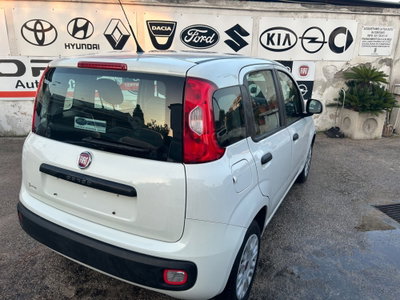 Fiat Panda 1.2 Easy (6)