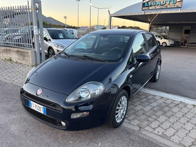 Fiat Punto 1.3 MJT II 75 CV 5 porte Lounge usata