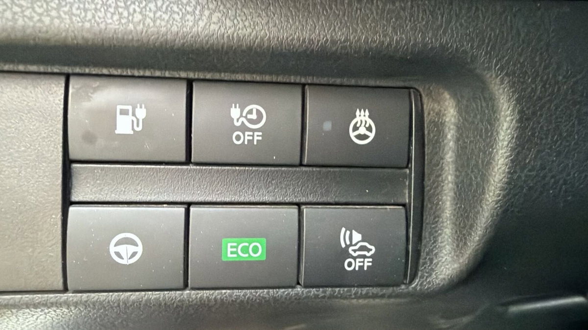 Nissan Leaf N-Connecta (14)