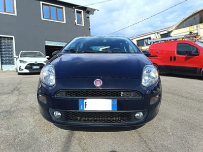 Fiat Punto 1.3 MJT II S&S 95 CV 5 porte Street (3)