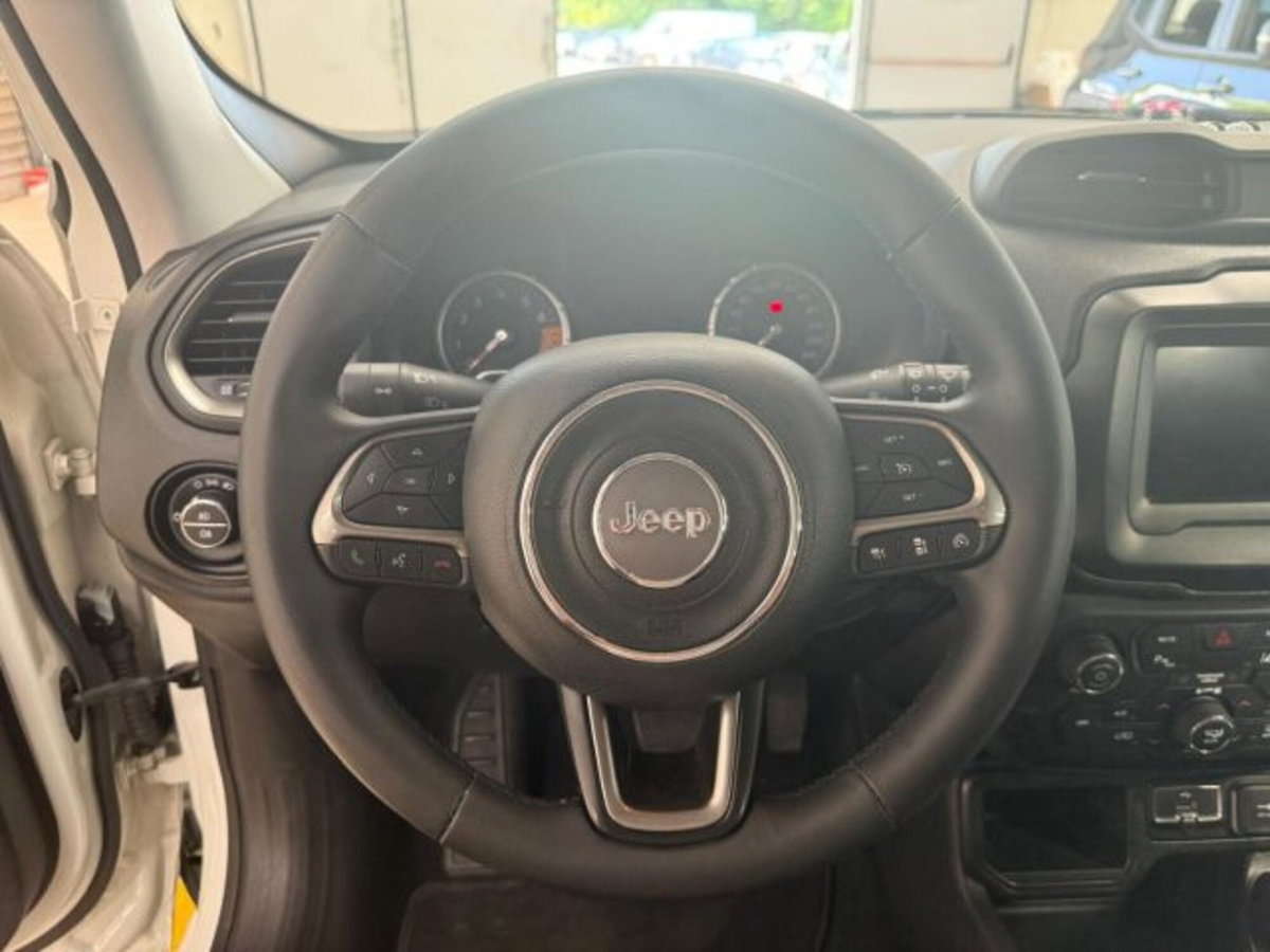 Jeep Renegade 1.3 T4 DDCT Limited (10)