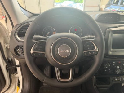 Jeep Renegade 1.3 T4 DDCT Limited (10)