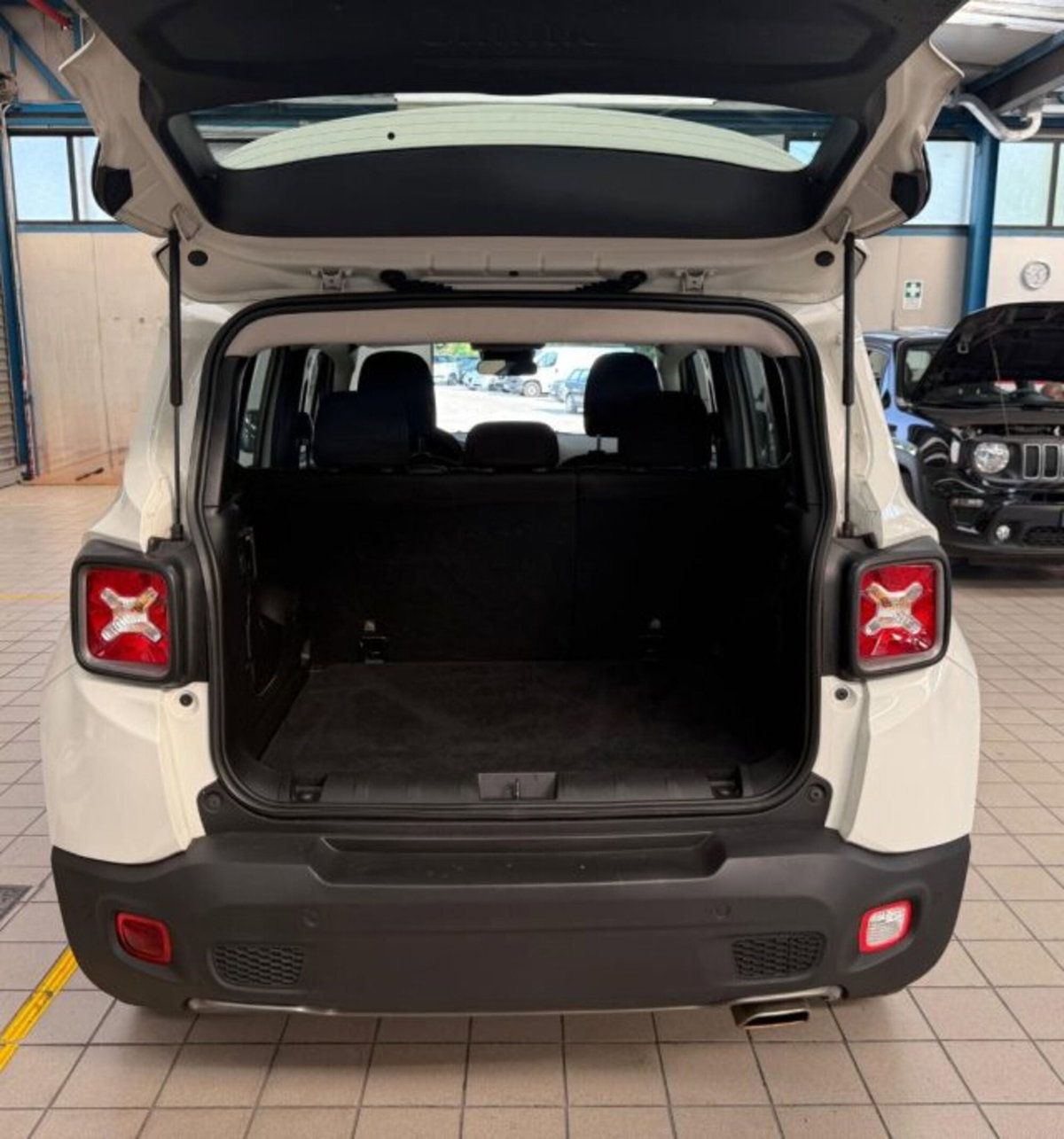 Jeep Renegade 1.3 T4 DDCT Limited (6)