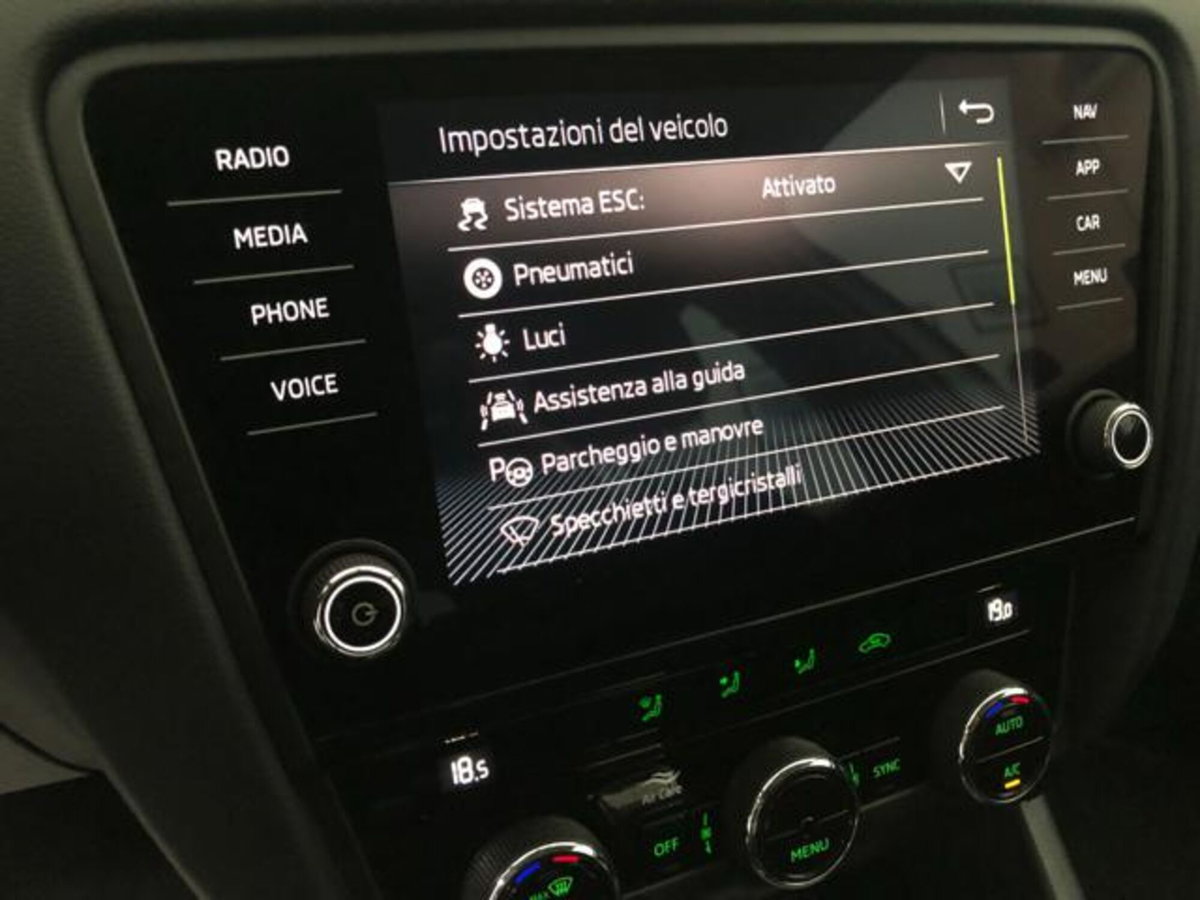 Skoda Octavia Station Wagon 1.6 TDI CR 115 CV DSG Wagon Executive (15)