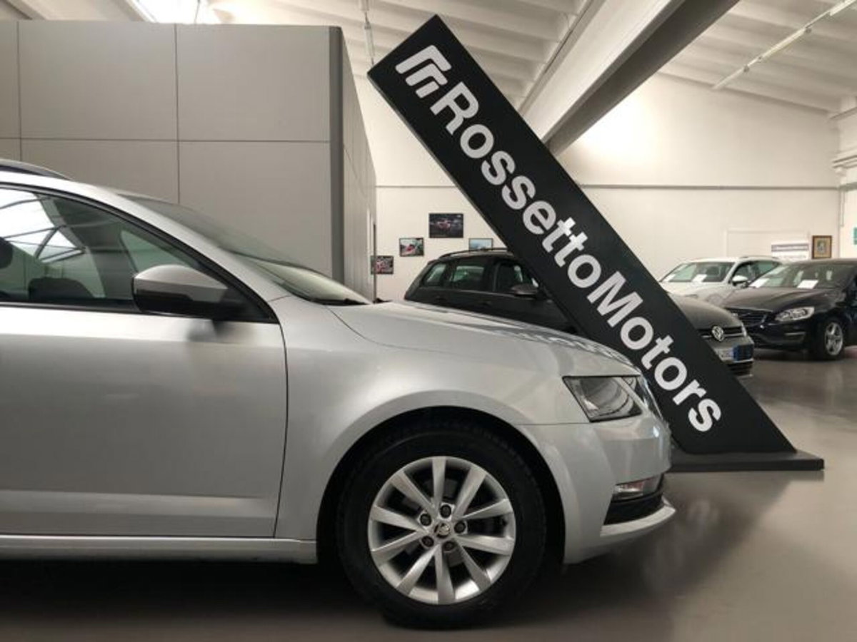 Skoda Octavia Station Wagon 1.6 TDI CR 115 CV DSG Wagon Executive (19)