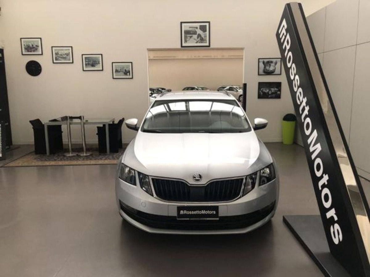 Skoda Octavia Station Wagon 1.6 TDI CR 115 CV DSG Wagon Executive (2)