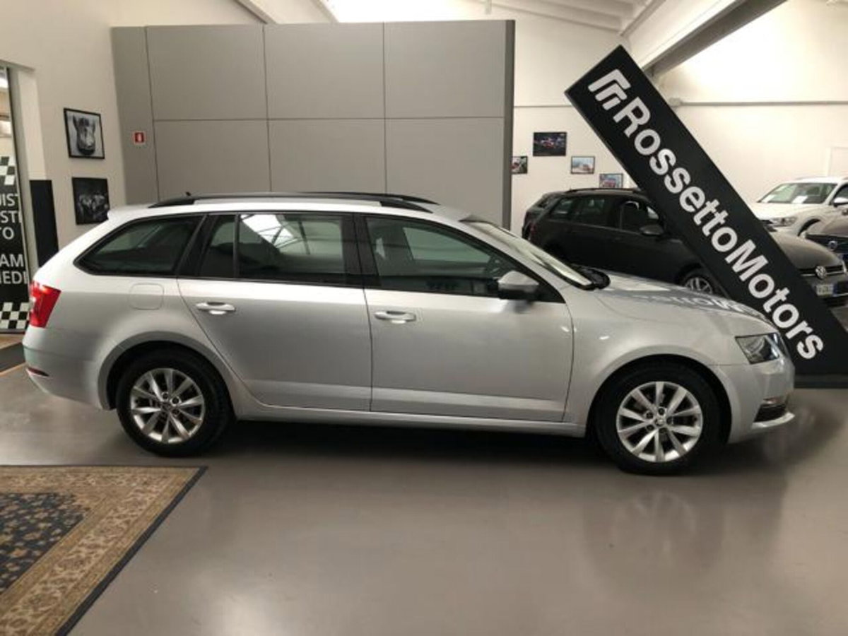 Skoda Octavia Station Wagon 1.6 TDI CR 115 CV DSG Wagon Executive (3)