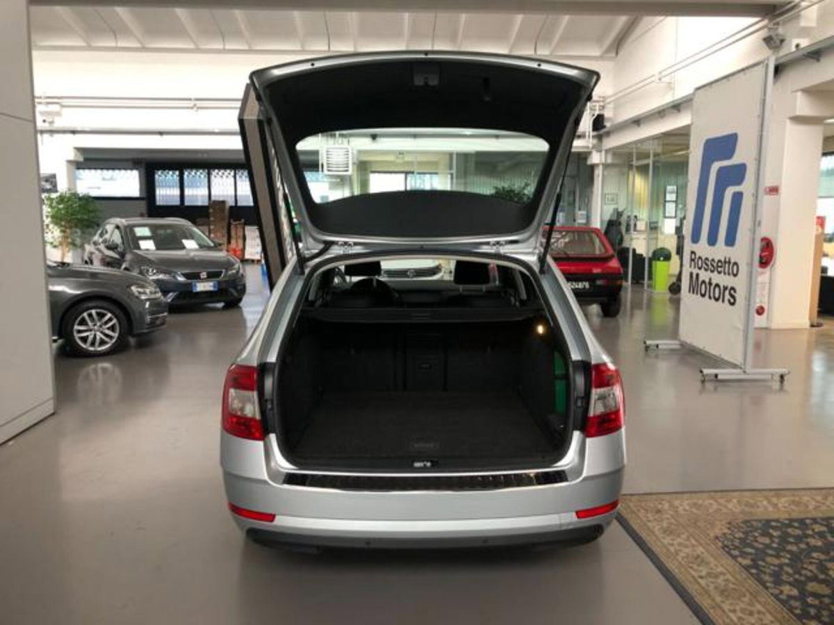 Skoda Octavia Station Wagon 1.6 TDI CR 115 CV DSG Wagon Executive (8)
