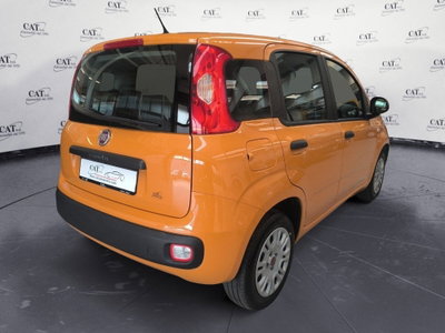 Fiat Panda 1.2 Easy (3)