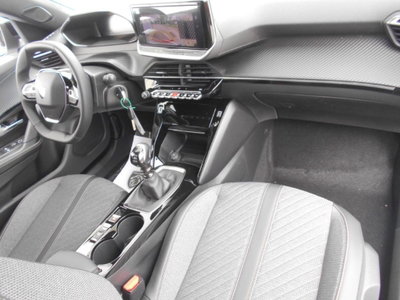 Peugeot 2008 PureTech 100 S&S Allure (4)