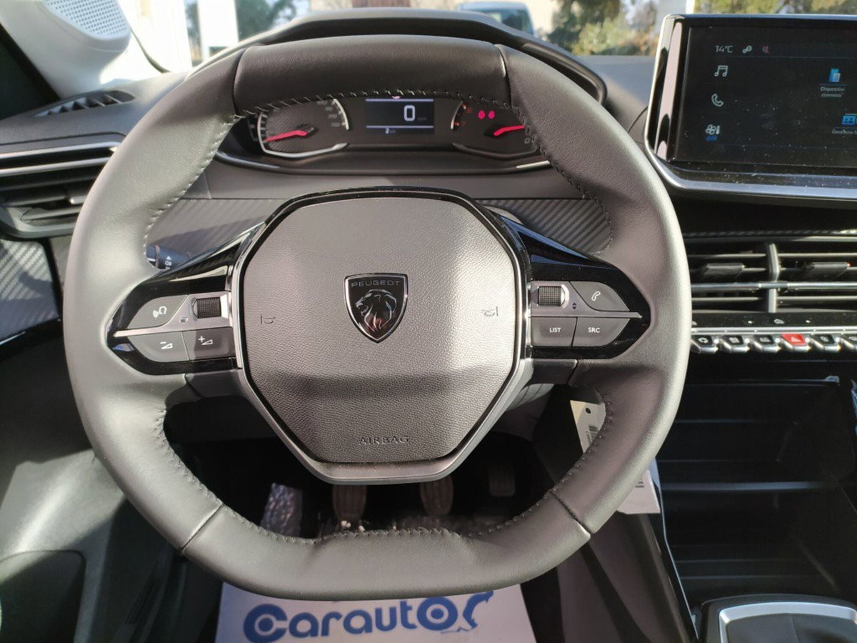 Peugeot 208 PureTech 100 Stop&Start 5 porte GT (16)