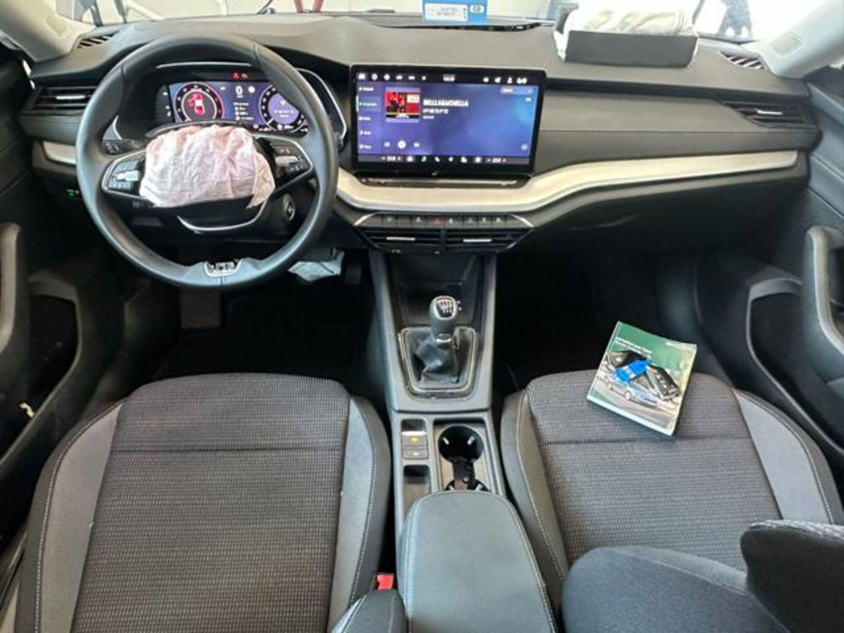 Skoda Octavia 2.0 tdi Executive 115cv (15)