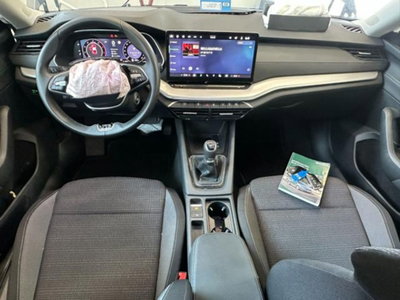 Skoda Octavia 2.0 tdi Executive 115cv (15)
